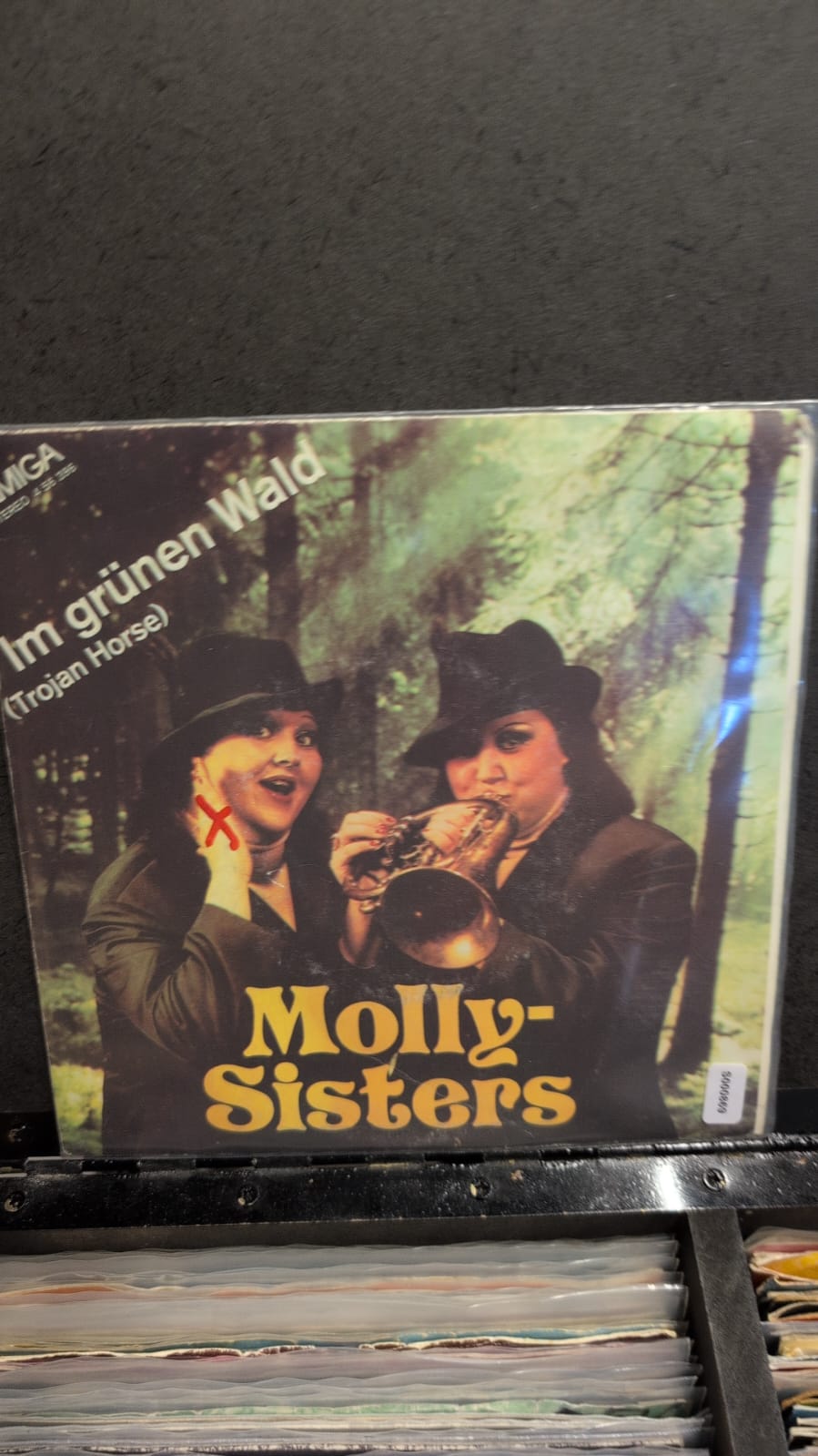 S000869 - Molly Sisters - Im grünen Wald / He, hallo, du bist ein Mann geworden