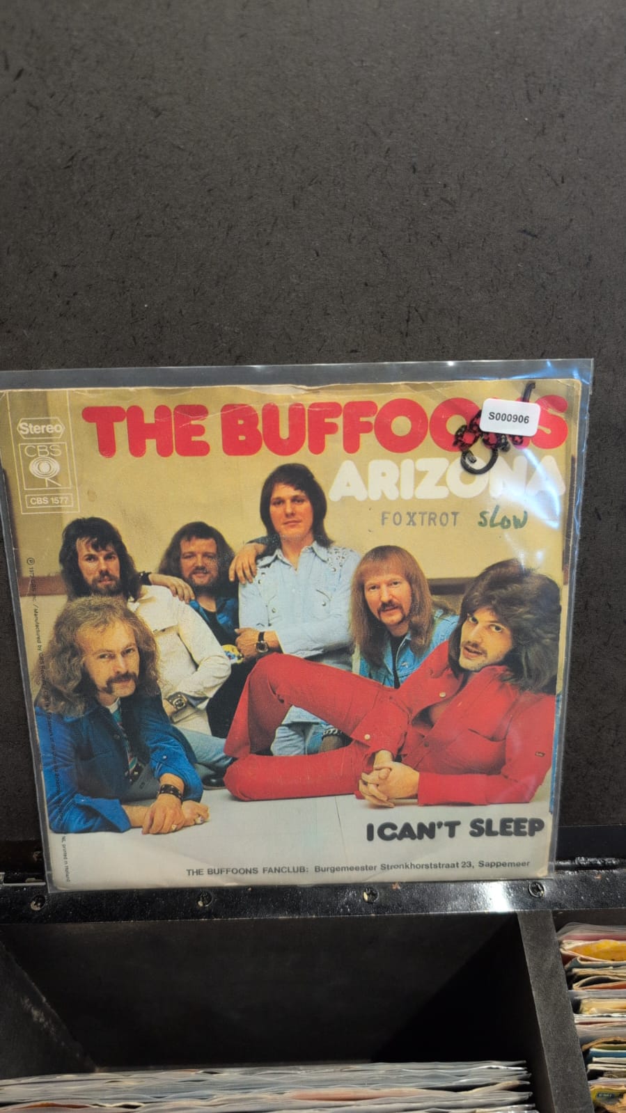 S000906 - The Buffoons - Arizona / I can't sleep